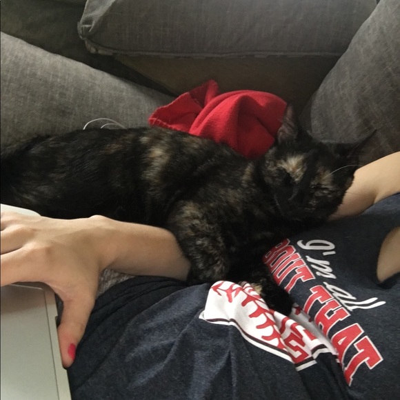 Meet your Posher, Ariel - Picture 7 of 8